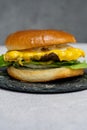 Burger with meat cutlet, hamburger isolated on grey background. Tasty Hamburger. Restaurant dish.