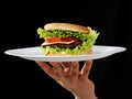 Burger on plate Royalty Free Stock Photo