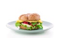Burger on plate isolated on white Royalty Free Stock Photo