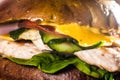 Burger with turkey on a wooden board Royalty Free Stock Photo