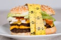 Burger Wrapped In Measuring Tape