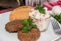 Burgers with Pasta Salad Royalty Free Stock Photo