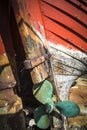 Burghead fishing boat detail in Scotland. Royalty Free Stock Photo