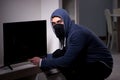 The burglar thief stealing tv from apartment house