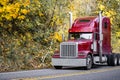 Burgundy big rig classic semi truck tractor running on the narrow autumn road to warehouse for the next loaded semi trailer Royalty Free Stock Photo