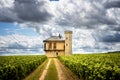 Burgundy, Chateau de La Tour and vineyards, Clos de Vougeot. France