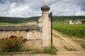 Burgundy, Clos de Vougeot. France. Present on an area of about 50 hectares, Clos de Vougeot is a Grand Cru appellation. Royalty Free Stock Photo