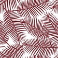Burgundy color palm leaves on a white background exotic tropical