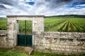 Burgundy, Cote d`Or. Vineyard with fence stone wall and access gate. Royalty Free Stock Photo