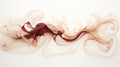 burgundy and cream flowing artwork on white background