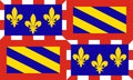 Burgundy flag vector illustration isolated background. France region.