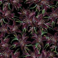 Burgundy flowers of lilies on a black background. Watercolor handwork illustration. Draw of blooming lily. Seamless pattern