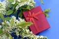 A burgundy gift box lies on a blue background surrounded by bird cherry flowers. Royalty Free Stock Photo