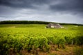 Chateau with vineyards, Burgundy. France Royalty Free Stock Photo