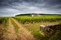 Chateau with vineyards, Burgundy. France Royalty Free Stock Photo