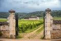 Chateau with vineyards, Burgundy, France