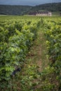 Chateau with vineyards, Burgundy, France Royalty Free Stock Photo