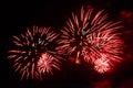 Burgundy pink firework sparks bright shining on the black night sky. Royalty Free Stock Photo