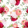 Burgundy red and white peonies, ranunculus, rose seamless vector pattern. Royalty Free Stock Photo