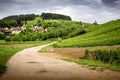 Burgundy. Road in the vineyards leading to the village of Pernand-Vergelesses in CÃ´te de Beaune. France Royalty Free Stock Photo