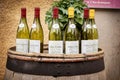 Burgundy wine bottles over a barrel. Royalty Free Stock Photo