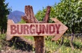 Burgundy wooden sign with winery background Royalty Free Stock Photo