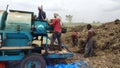 Workers separating moong grains by thresher machine. Pile of moong, workers and thresher machine in the picture