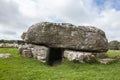 Lligwy burial chamber | The cockroach monument