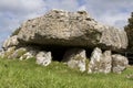 Lligwy burial chamber | The cockroach monument