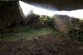 Lligwy burial chamber | The cockroach monument