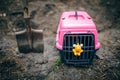 Burial of domestic pet illegal cemetery in forest. Sad tragic plot of animal death. Deceased kitten is wrapped in opaque bag in Royalty Free Stock Photo