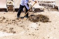 Burial of seaweeds beach cleaning with a shovel Royalty Free Stock Photo