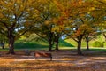 Burial tombs in center of Gyeongju, Republic of Korea