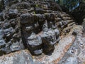 Archaeological Site: El Mirador, the cradle of Mayan civilization and the oldest mayan city in history