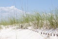 Buried sand dune fence