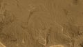 Burkina Faso area. Sepia elevation map Royalty Free Stock Photo