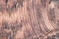 A burl light brown wood as background. Royalty Free Stock Photo