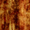 Burl wood Royalty Free Stock Photo