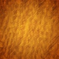 Burl Wood Royalty Free Stock Photo