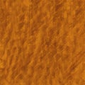 Burl Wood Royalty Free Stock Photo