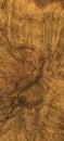 Burl wood background