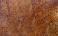 Burl wood striped for Picture prints interior decoration car, Exotic wooden beautiful pattern for crafts or abstract art t Royalty Free Stock Photo