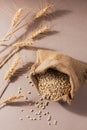 Burlap bag of dry raw broken pearl barley cereal grain Royalty Free Stock Photo