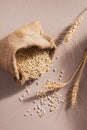 Burlap bag of dry raw broken pearl barley cereal grain Royalty Free Stock Photo