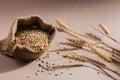 Burlap bag of dry raw broken pearl barley cereal grain Royalty Free Stock Photo