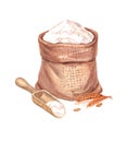 Burlap bag with flour and wooden scoop. Sack with wheat flour and spikelets. Watercolor hand drawn illustration Royalty Free Stock Photo