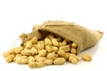 Burlap bag with roasted peanuts Royalty Free Stock Photo