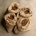 Burlap Feed Bags Full of Tamarck Larch (Larix laricina) Cones Royalty Free Stock Photo