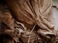 Burlap hessian sack tied with rope close up Royalty Free Stock Photo