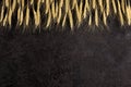 Burlap napkin on a dark structural background, top view. Ears of wheat Royalty Free Stock Photo